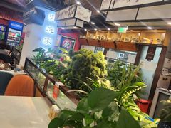 -洞庭家宴·头牌甲鱼(广渠门店)