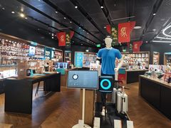 -sundanpulse顺电·脉(海岸城购物中心店)