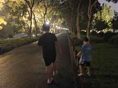 -西湖外事游船(花港观鱼码头)