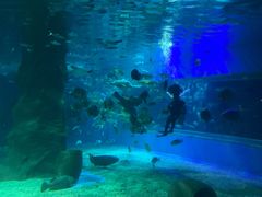 -北戴河圣蓝海洋公园