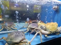 水产区-蓝鲸(国浩路店)