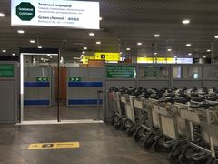 -谢列梅捷沃国际机场