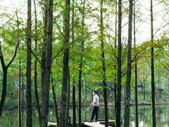 -上海长兴岛郊野公园