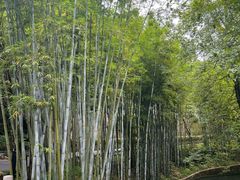 -广东温泉宾馆