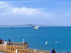 -青海湖国家重点风景名胜区