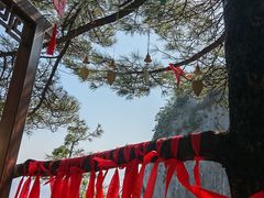 -秦岭天竺山景区