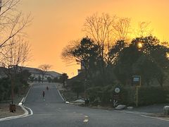 -汤山温泉房车营地 茶温泉