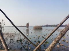 -东湖落雁景区