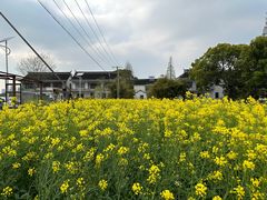 -小鱼草莓采摘园农家乐·小鱼餐厅