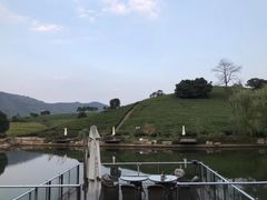 -帐篷客·溪龙茶谷度假酒店