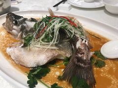 -希尔顿欢朋餐厅