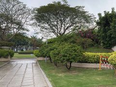 -白鹭洲公园