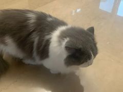 -悠尼宠物·独立低压伊珊娜洗护·美容·寄养(兰谷路店)