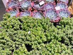 -KKV(深圳宏发大仟里店)