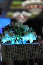-M'S BANQUET AND SPACE ART