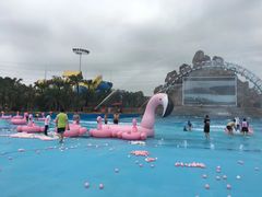 -美的鹭湖探索王国