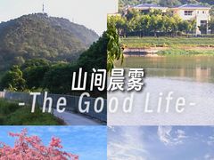 -风云岭森林公园