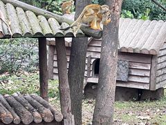 -上海野生动物园