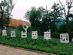 iphone_upload_pic-紫云台香草园