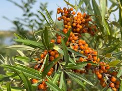 -鄂尔多斯野生动物园