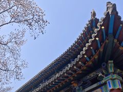 -碑林公园