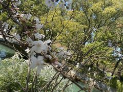 -玄武湖景区-情侣园游乐场