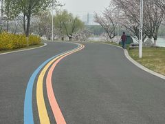-羊山湖公园