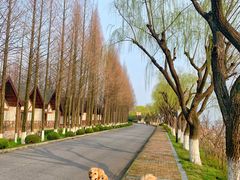 -太阳岛度假酒店