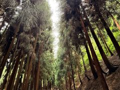 -太阳湾风景区