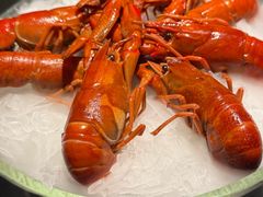 -红盔甲·小龙虾(人民广场店)