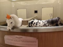 -海澜飞马水城