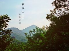 -阳台山自然风景区