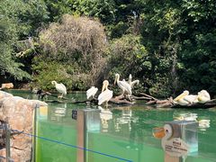-珠海长隆海洋王国