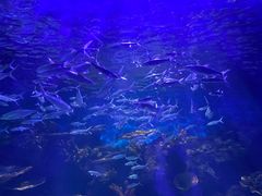 -华夏文旅西安度假区