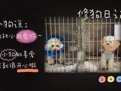 -伟伟宠物医院·CT影像中心·瑞派犬猫综合性门诊(汉口总院)