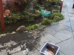 -万景饭店·鱼街农家菜