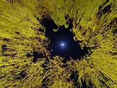 -天鹅湖体育公园