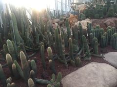 -南通洲际绿博园