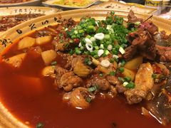 -青城甲(青城山店)