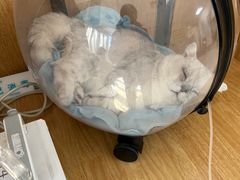 -美联众合动物医院·24h京西诊疗中心