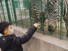 -保定市动物园