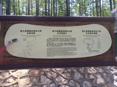 -莫尔道嘎国家森林公园
