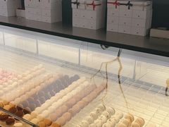 -BLACKSWAN黑天鹅(环球店)