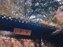 -法云安缦酒店