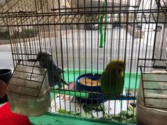 -草原塞蛮羊火锅城(港湾店)