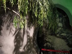 -嘉定博物馆