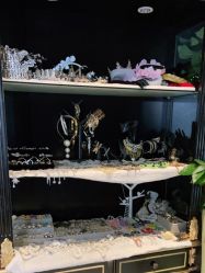 -鼎极摄影(世纪金源店)