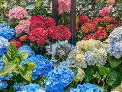 -人民公园(罗湖区)