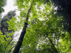 -太阳湾风景区