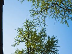 -狼山风景名胜区